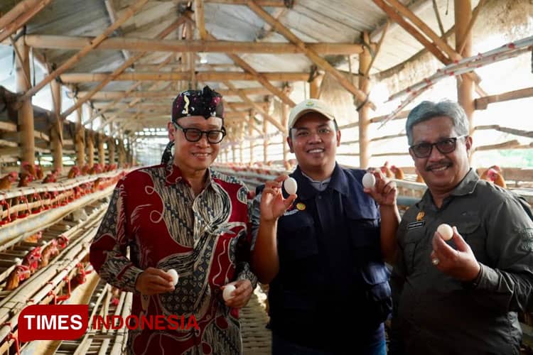Lihat Ceruk Pasar, Petani Milenial Ini Tangkap Peluang Dari Ayam Arab