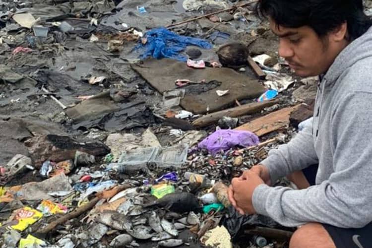 Ribuan Ikan Mati di Ternate, DLH: Dampak Pencemaran Limbah Organik