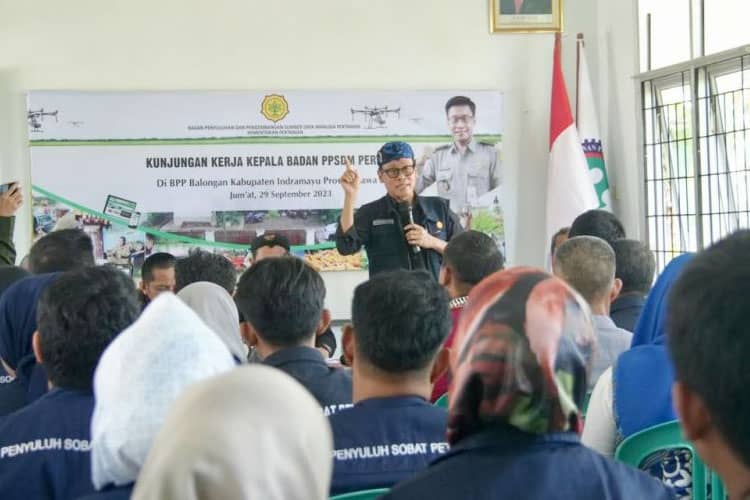 Kunjungi BPP Balongan, Kementan Sebut Pertanian Berkontribusi Nyata Terhadap Ekonomi