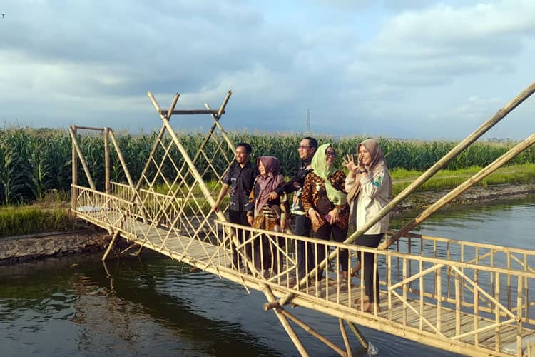 Exploring the Serene Beauty of Wisata Kanal Sungai Suko-Suko