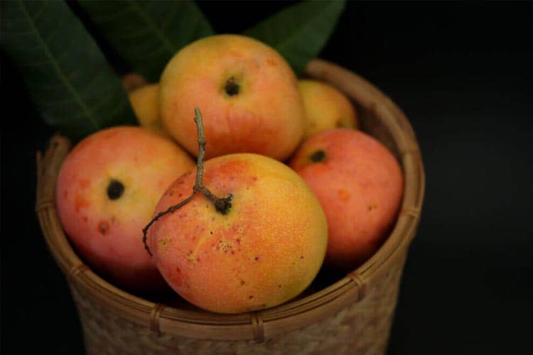 Uniknya Mangga Khas Indonesia, Ada Alpukat dan Apel?