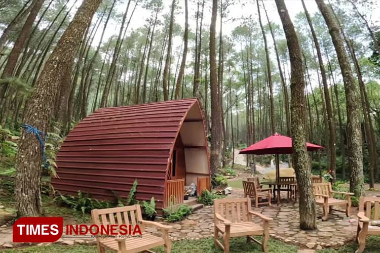 Pinea Forest Mangli Magelang: A Modern Twist on Nature Exploration
