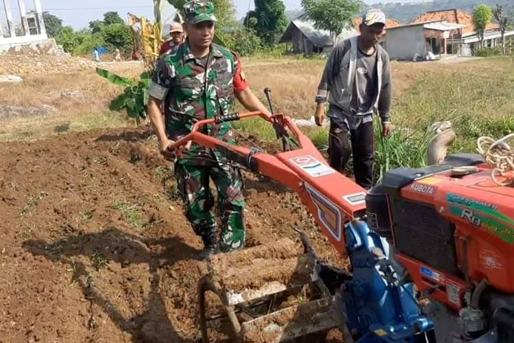 Babinsa Koramil 0826-11 Batumarmar Bantu Bajak Sawah Milik Warga Binaan