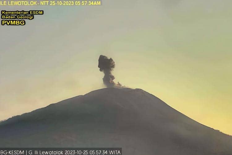 Gunung Ili Lewotolok Meletus, Lontarkan Abu Vulkanik Setinggi 500 Meter
