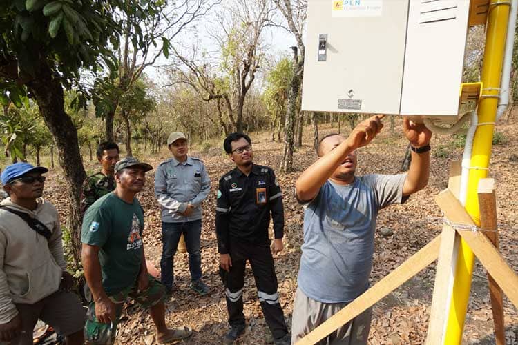 Petani Desa Binor, Probolinggo, Gunakan Sensor Gerak Untuk Usir Hama Babi