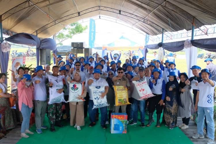 Dorong Kemandirian Petani, Program Makmur Pupuk Kaltim Dongkrak Hasil Padi Pinrang hingga 9,1 Ton Per Hektare