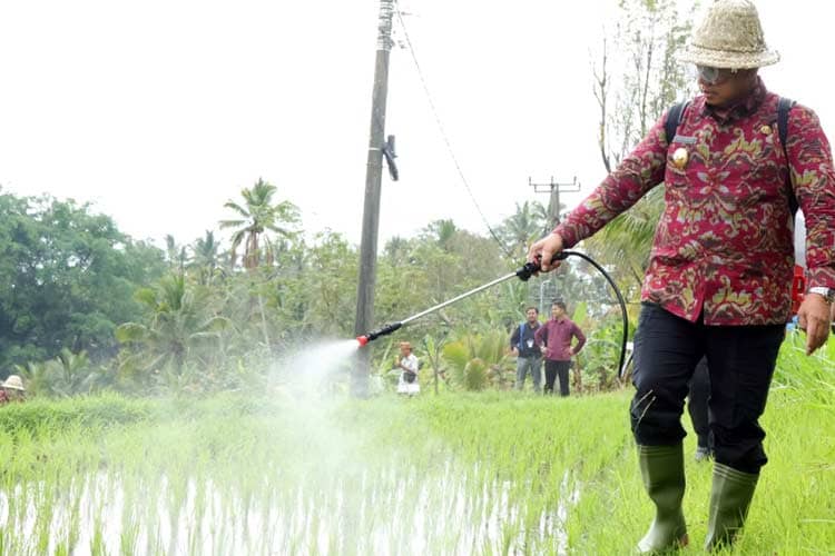 Serahkan Bantuan Pupuk, Pj Gubernur Bali Imbau Petani Tak Jual Lahannya