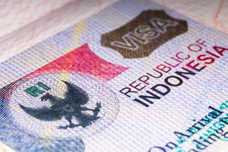 Pemerintah Cabut Calling Visa untuk Kamerun, Dorong Kerja Sama Ekonomi dan Evaluasi Terus Dilakukan