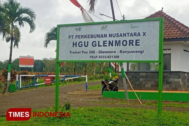 Regional 4 PTPN I Kelola Lahan Tebu di Glenmore Banyuwangi
