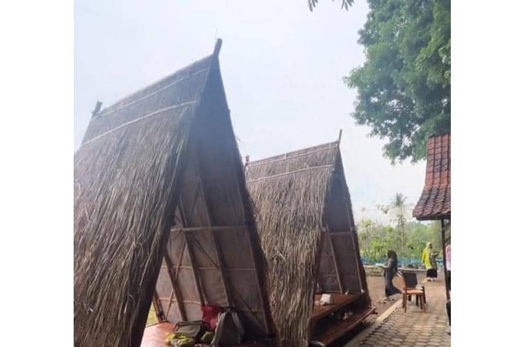 Viral di Bondowoso Ada Tempat Makan di Tengah Kebun Buah, Bisa Petik Langsung