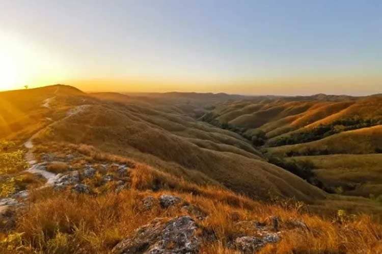 Bukit Wairinding di Sumba Timur, Dua Musim Berganti Seakan Berada di Dua Negara