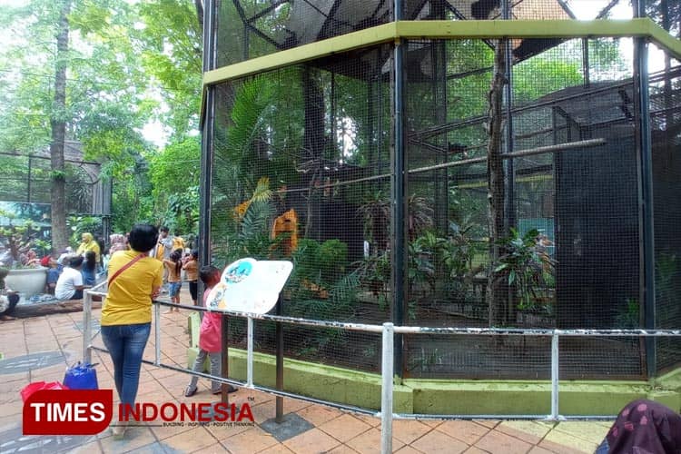 Kebun Binatang Surabaya Masih Jadi Primadona Wisata Saat Liburan Tahun Baru