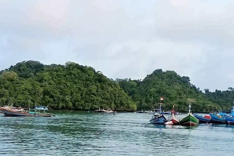 Exploring Pulau Sempu: Beyond Tourism to Research and Conservation