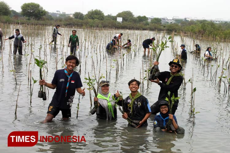 PLH Siklus ITS Serap Emisi Karbon Lewat Tanam Mangrove