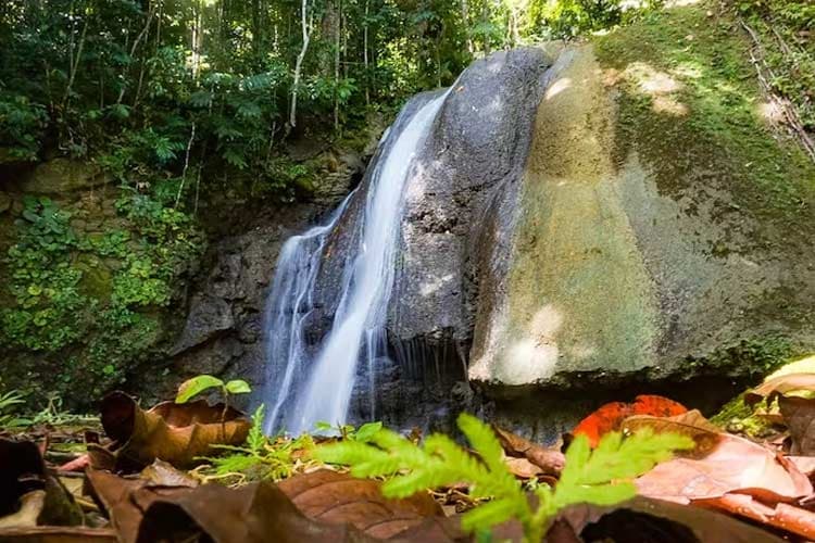 Nikmati Keindahan Air Terjun Bunga Kokota Pulau Morotai