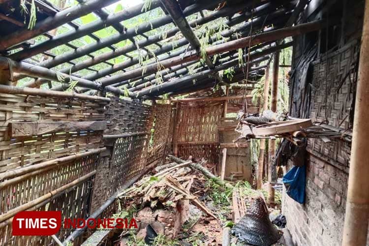 Dampak Hujan Awal Tahun, BPBD Pacitan Catat 6 Rumah dan 2 Jalan Rusak