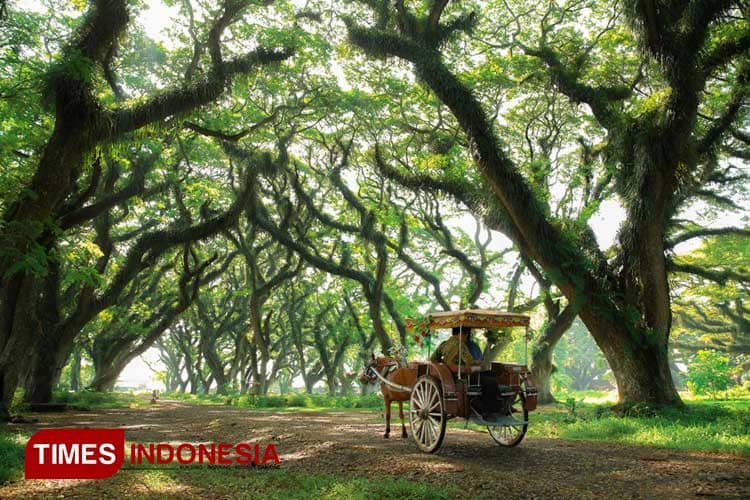 Ini 4 Destinasi Wisata Banyuwangi Paling Favorit di Pertengahan Tahun 2025