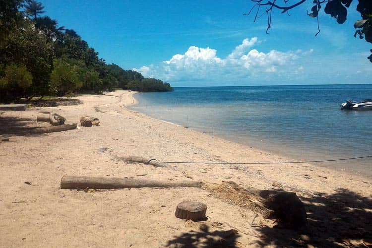 7 Reasons Why You Need to Visit Bama Beach in East Java, Indonesia