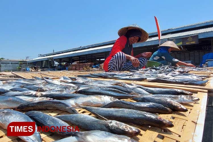 Begini Upaya Banyuwangi Atasi Anjloknya Harga Ikan Laut