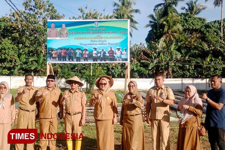 Plt Kadis Pertanian Pastikan 6200 Pohon Cabai Milik Pemkab Morotai Panen Awal Juni