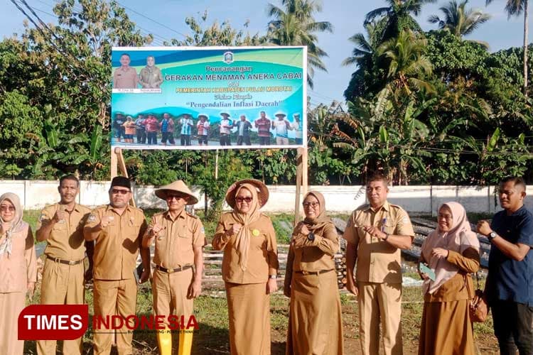 Plt Kadis Pertanian Pastikan 6200 Pohon Cabai Milik Pemkab Morotai Panen Awal Juni