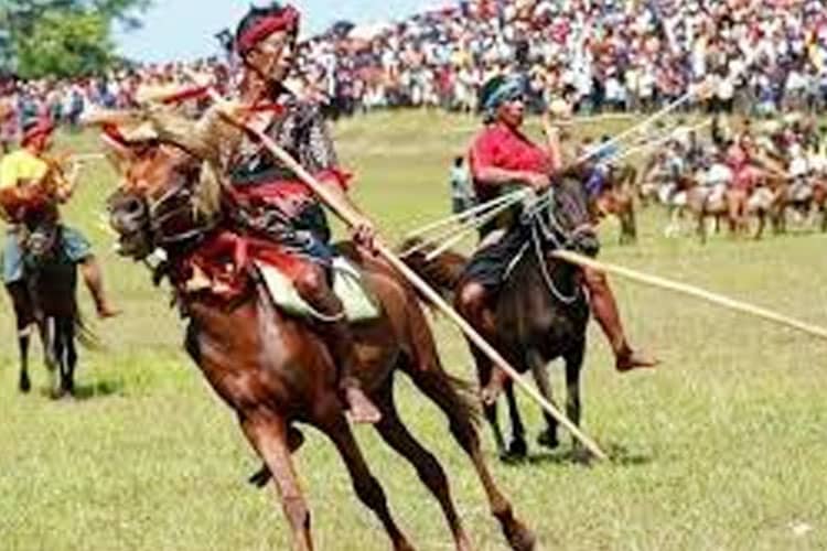 Tradisi Pasola di Sumba Barat, Pemerhati Budaya Menyebutnya Sebagai Alat Pemersatu