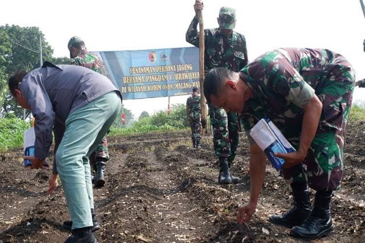 Dukung Ketahanan Pangan, Kodim 0818 Kawal Pertanian Tiap Kecamatan