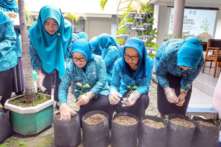 Berikan Banyak Manfaat, Pj Ketua TP PKK Isye Ajak Kader PKK Tanam Cabai di Pekarangan Rumah
