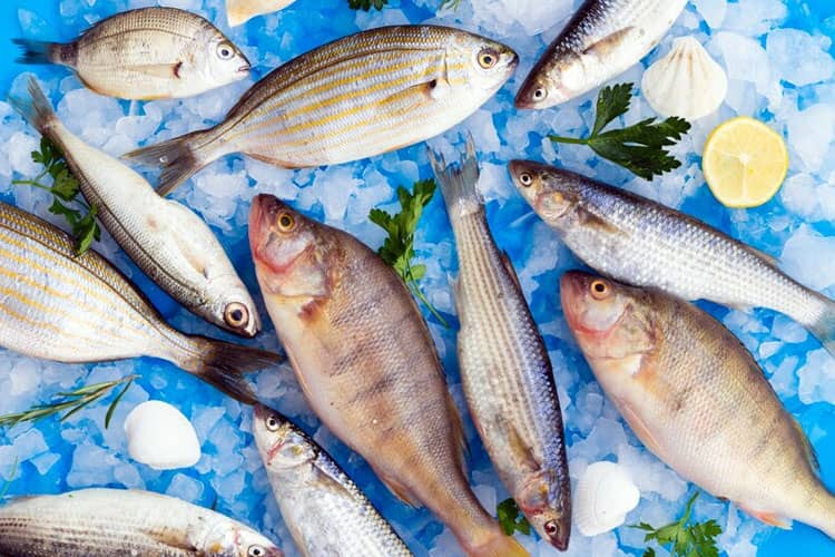 Bisa Jadi Racun, 8 Jenis Ikan Ini Sebaiknya Tidak Dikonsumsi