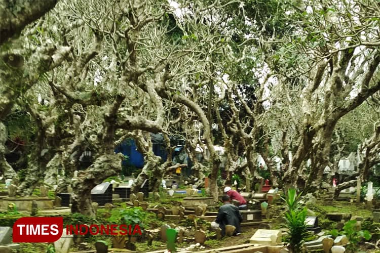 Tradisi Nyekar dan Meroketnya Harga Mawar di Kota Batu