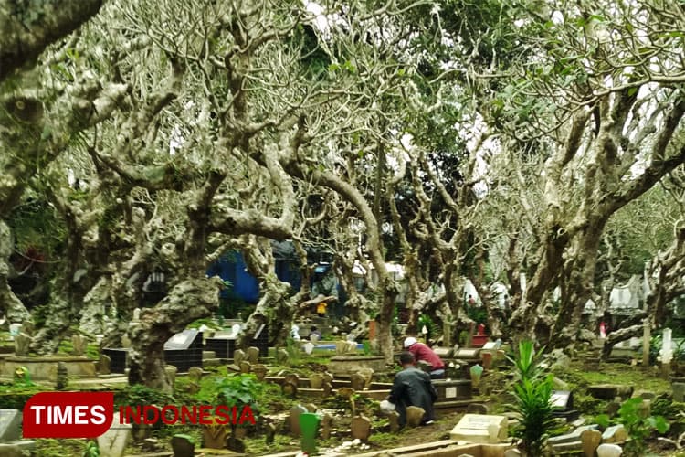 Tradisi Nyekar dan Meroketnya Harga Mawar di Kota Batu