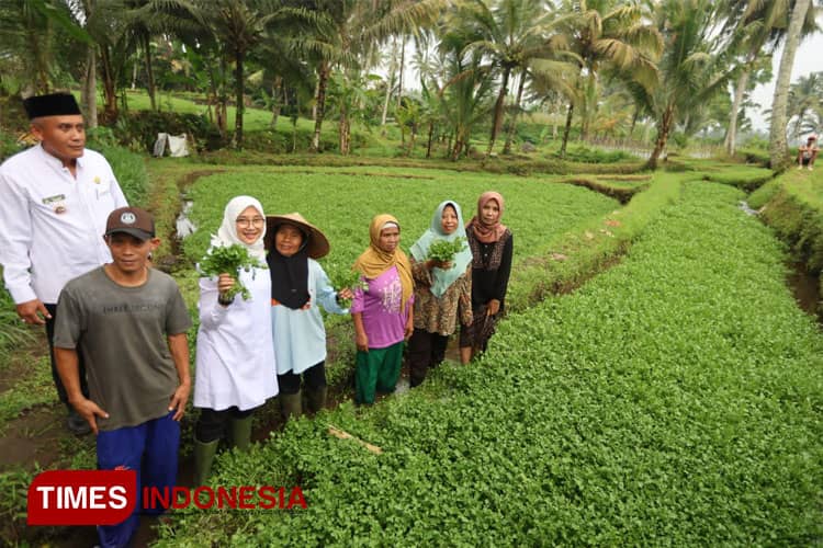 Yuk Intip Program Unggulan Bupati Banyuwangi untuk Menopang Pertumbuhan Ekonomi Agraris