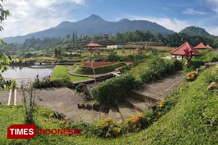 Kisah Desa Bermi, Desa BRIlian 2022 Tingkatkan Ekonomi Masyarakat Desa di Lereng Argopuro