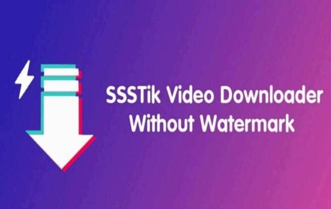 Cara Mudah dari Ssstiktok Download Video TikTok ke MP4