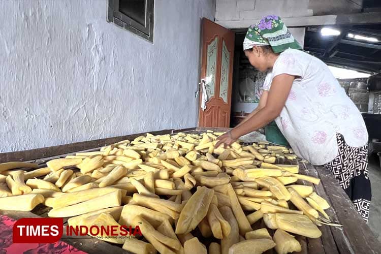 Warisan Rasa: Tape Desa Kramat Agung Probolinggo, Tetap Lestarikan Tradisi