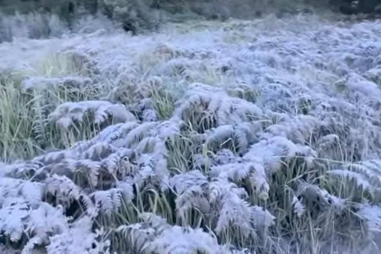 Upas Gunung Bromo Warnai Perayaan Yadnya Kasada Suku Tengger Probolinggo