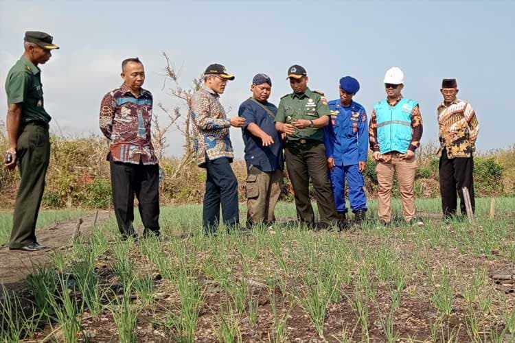 Bupati Bantul Blusukan di Lahan Pasir, Pastikan Kebutuhan Pertanian Teratasi