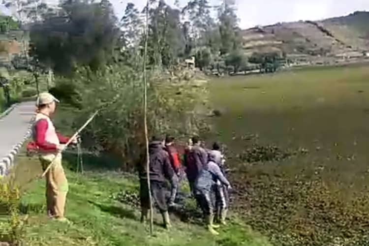 Telaga Merdada Dieng Banjarnegara Dipenuhi Eceng Gondok, Ini yang Dilakukan Warga