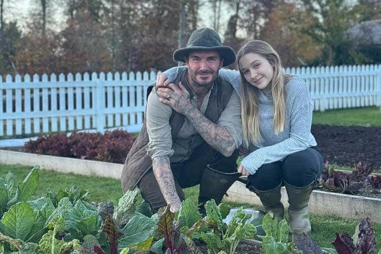 David Beckham Banting Setir jadi 'Kang Kebon'
