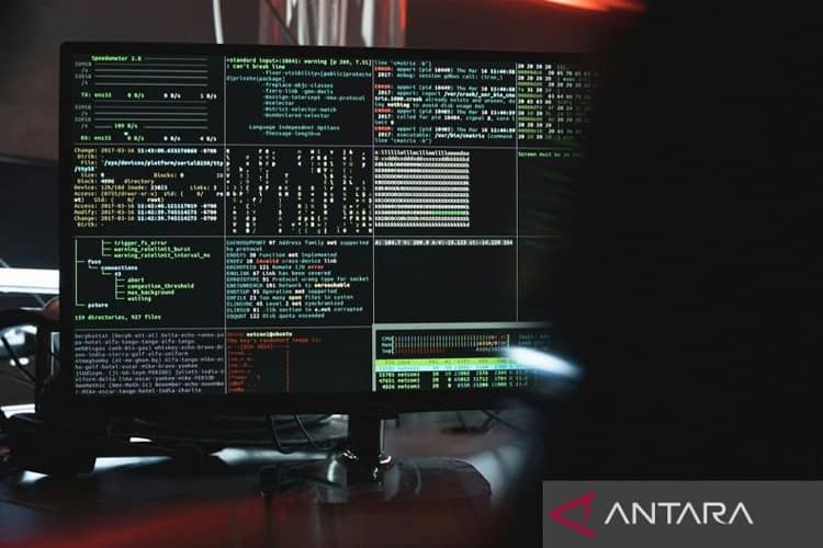 Mengenal Ransomware dan Cara Mengatasinya
