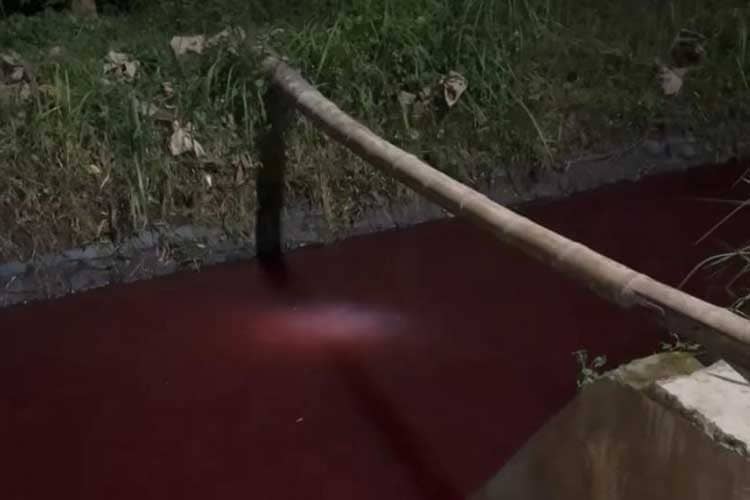 Heboh Sumber Mata Air di Malang Berwarna Merah di Malam Satu Suro