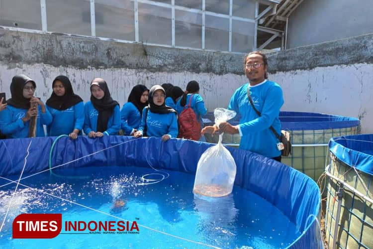 Tebar Benih Nila Larasati Sistem Bioflok, UNIPMA Siap Kembangkan Agribisnis Modern