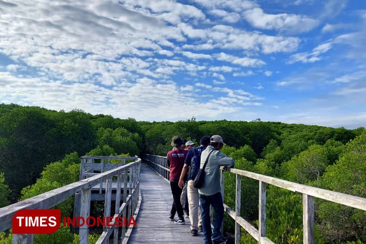 Serunya Menjelajahi Hutan Mangrove Jatipapak Banyuwangi