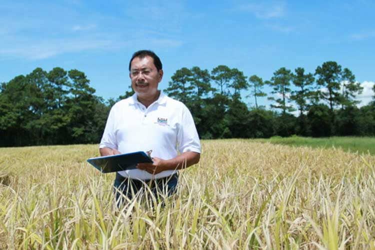 Prof Herry Utomo, Penemu Varietas Padi Tinggi Protein Pertama di Dunia: Dari Kota Malang ke Louisiana