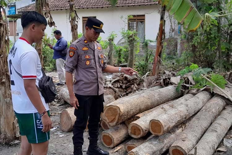 Dua Pelaku Illegal Logging di Banyuwangi Ditangkap, Polisi Amankan 61 Kayu Jati