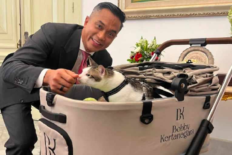 Bobby Kertanegara Lagi Viral, Harga Strollernya Bikin Tercengang