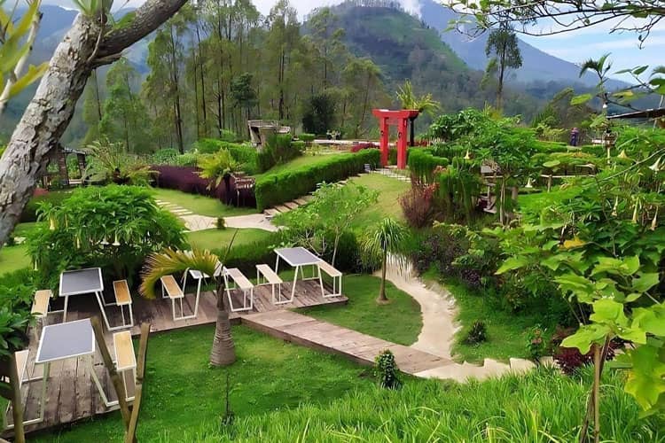 The Charm of Bukit Nirwana Pujon: A Hidden Paradise in the Highlands of Malang