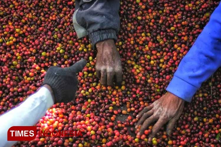 Workshop dan Lomba Foto Sambut Festival Kopi Nusantara II di Malang