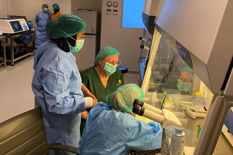 Angka Sukses Hamil Bayi Tabung di Morula IVF Surabaya Capai 70 Persen