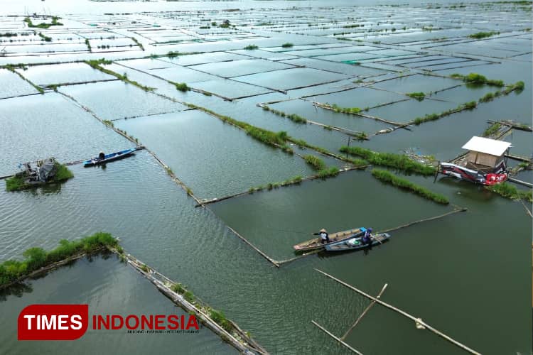 Proyek Pembangunan PLTS di Bendungan Karangkates Malang, Ratusan Petak Keramba Ikan Tawar Terancam Digusur